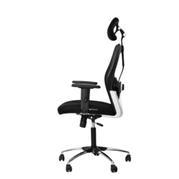 Wintech Executive Chair Matrix Black
