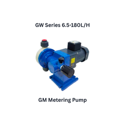 Fluid Masters GM Metering Pump GW Series 6.5-180L/H