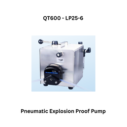 Fluid Masters Pneumatic Explosion Proof Pump QT600 - LP25-6