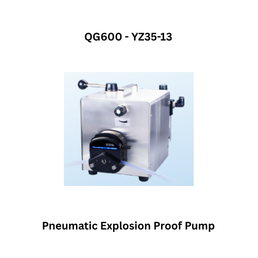 Fluid Masters Pneumatic Explosion Proof Pump QG600 - YZ35-13