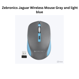 Zebronics Jaguar Wireless Mouse Gray and light blue