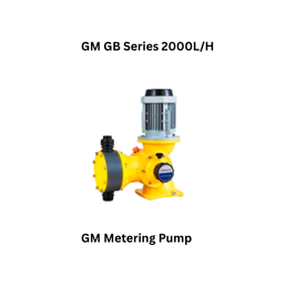 Fluid Masters GM Metering Pump GM GB Series 2000L/H