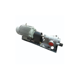 Ambey CI, SS Gear Pumps - 200 m3/hr