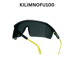 Delta Plus Kilimandjaro Smoke Safety Glasses - KILIMNOFU100