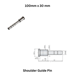 Shoulder Guide Pin - 100 x 30 mm