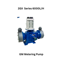 Fluid Masters GM Metering Pump 2GX Series 6000L/H