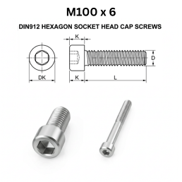 Precise DIN912 Hexagon Socket Head Cap Screws - M100 X 6