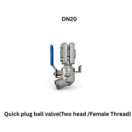 AirPipe Quick plug ball valve(Two head /Female Thread) - DN20