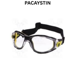 Delta Plus Pacaya Clear Strap Safety Glasses - PACAYSTIN