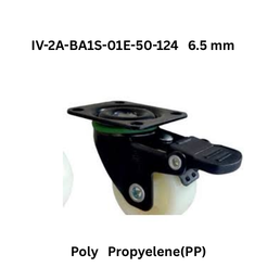 Supo Poly Propyelene(PP) IV-2A-BA1S-01-38-124 46 mm X38 mm