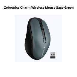 Zebronics Charm Wireless Mouse Sage Green