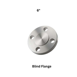Luthra Pneumsys Blind Flange - 6"