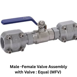 Secure Air Male -Female Valve Assembly with Valve : Equal (MFV) - 25mm*1" BSP